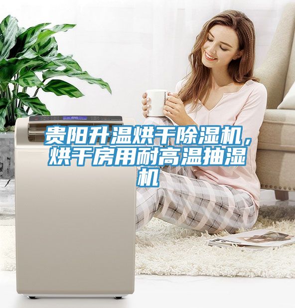 貴陽升溫烘幹香蕉视频国产，烘幹房用耐高溫抽濕機