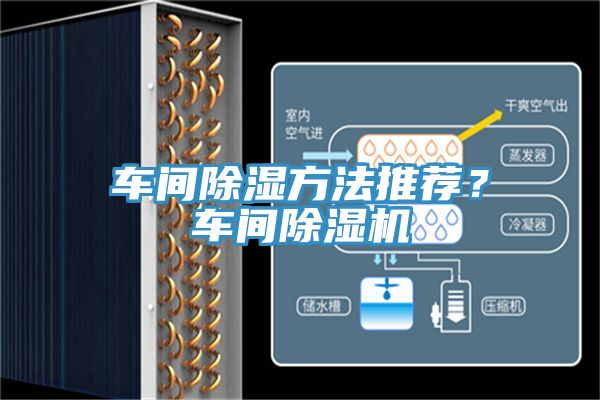 車間除濕方法推薦？車間香蕉视频国产