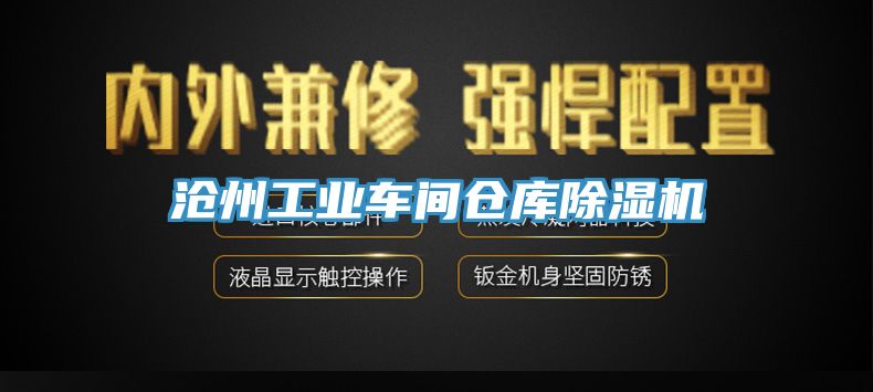 滄州工業車間倉庫香蕉视频国产
