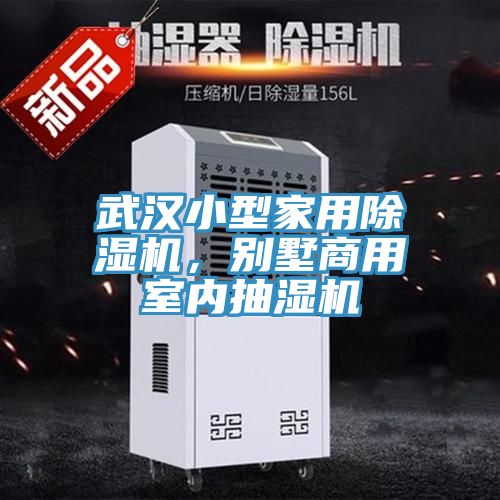 武漢小型家用香蕉视频国产，別墅商用室內抽濕機