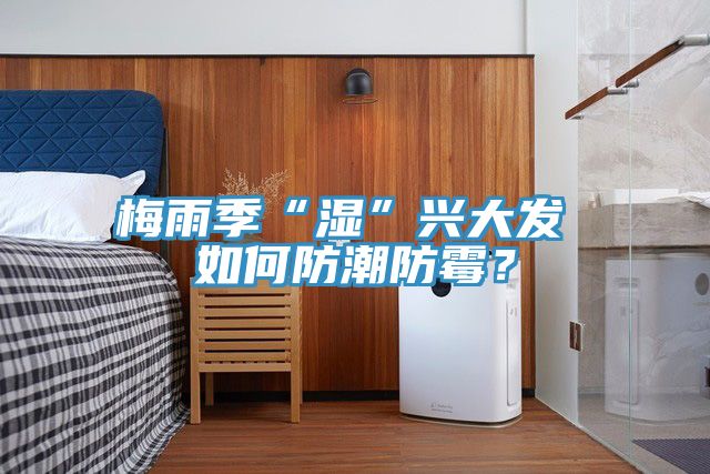 梅雨季“濕”興大發 如何防潮防黴？