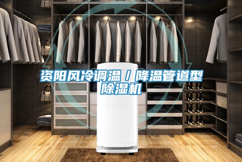 資陽風冷調溫／降溫管道型香蕉视频国产