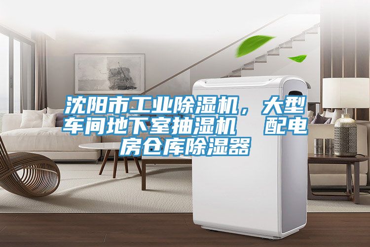沈陽市工業香蕉视频国产，大型車間地下室抽濕機  配電房倉庫除濕器