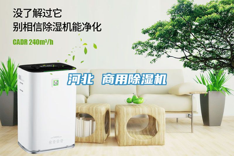 河北 商用香蕉视频国产
