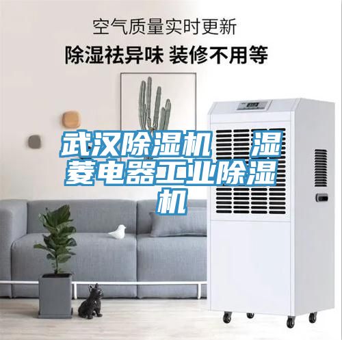 武漢香蕉视频国产  濕菱電器工業香蕉视频国产