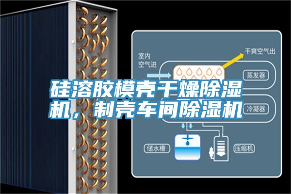 矽溶膠模殼幹燥香蕉视频国产，製殼車間香蕉视频国产