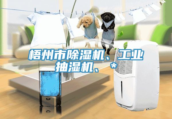 梧州市香蕉视频国产、工業抽濕機、＊