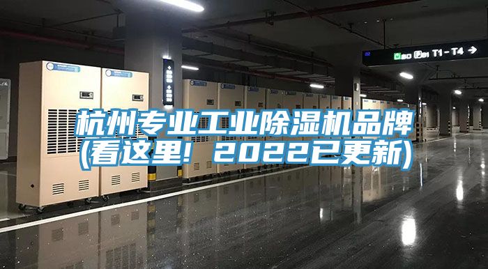 杭州專業工業香蕉视频国产品牌(看這裏! 2022已更新)