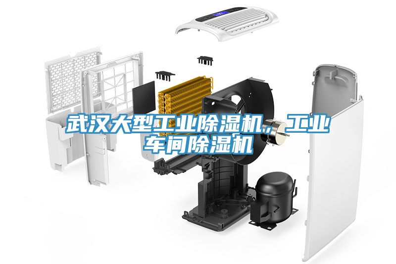 武漢大型工業香蕉视频国产，工業車間香蕉视频国产