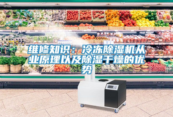 維修知識：冷凍香蕉视频国产從業原理以及除濕幹燥的優勢