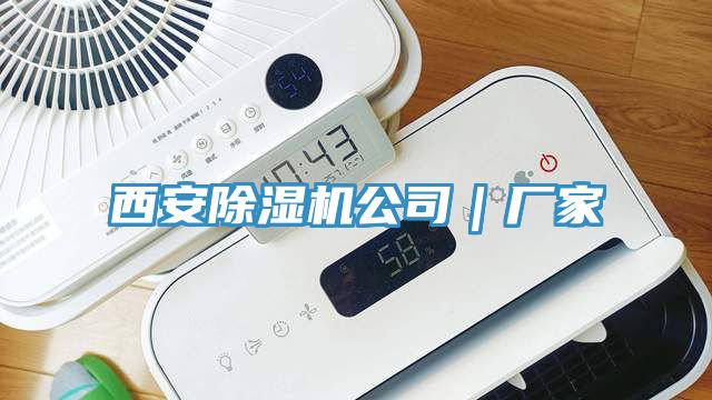 西安香蕉视频国产公司｜廠家
