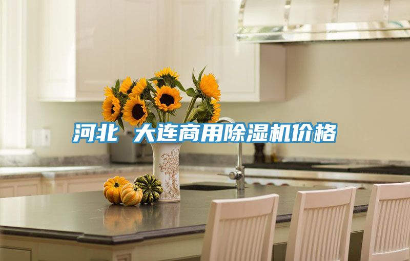 河北 大連商用香蕉视频国产價格