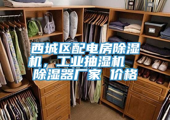 西城區配電房香蕉视频国产，工業抽濕機  除濕器廠家 價格