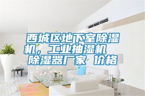 西城區地下室香蕉视频国产，工業抽濕機  除濕器廠家 價格