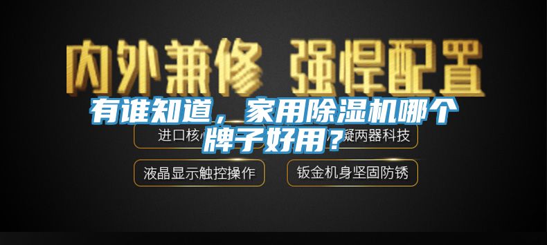 有誰知道，家用香蕉视频国产哪個牌子好用？