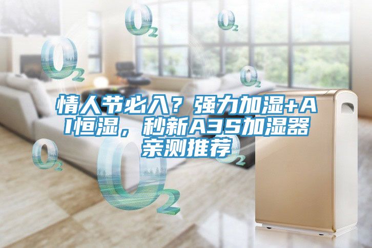 情人節必入？強力加濕+AI恒濕，秒新A3S加濕器親測推薦