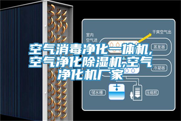 空氣消毒淨化一體機,空氣淨化香蕉视频国产,空氣淨化機廠家