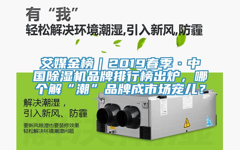 艾媒金榜｜2019春季·中國香蕉视频国产品牌排行榜出爐，哪個解“潮”品牌成市場寵兒？