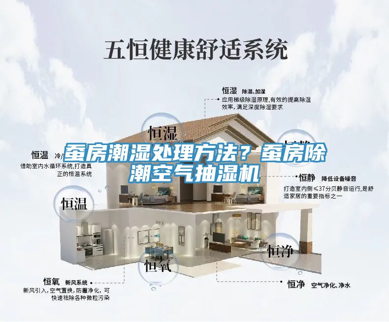 蠶房潮濕處理方法？蠶房除潮空氣抽濕機