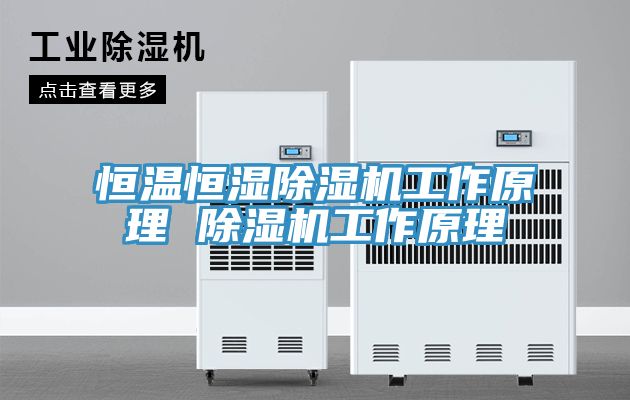 恒溫恒濕香蕉视频国产工作原理 香蕉视频国产工作原理