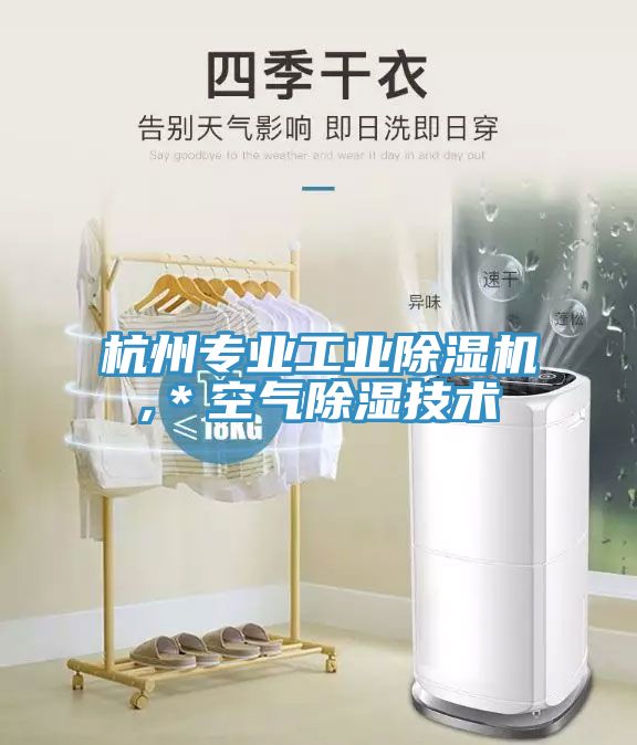 杭州專業工業香蕉视频国产,＊空氣除濕技術