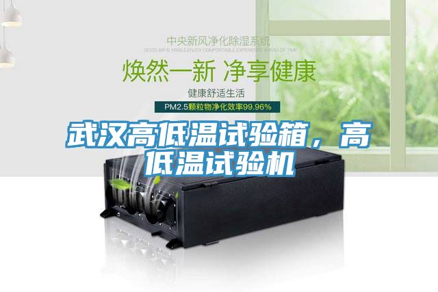 武漢高低溫試驗箱，高低溫試驗機