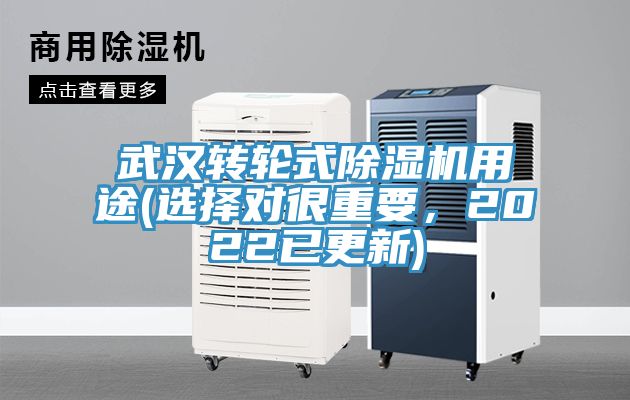 武漢轉輪式香蕉视频国产用途(選擇對很重要，2022已更新)