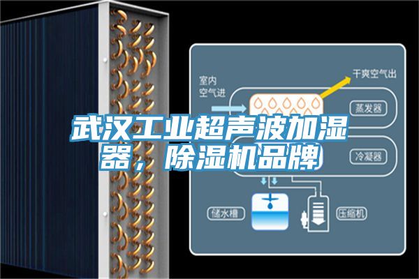 武漢工業超聲波加濕器，香蕉视频国产品牌