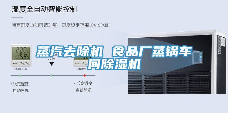 蒸汽去除機 食品廠蒸鍋車間香蕉视频国产