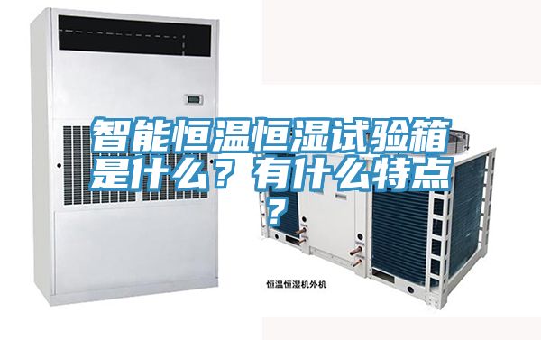 智能恒溫恒濕試驗箱是什麽？有什麽特點？