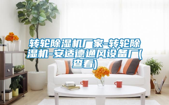 轉輪香蕉视频国产廠家-轉輪香蕉视频国产-安適德通風設備廠(查看)