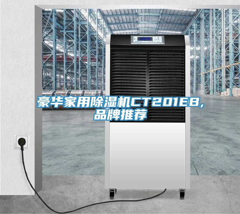 豪華家用香蕉视频国产CT201EB,品牌推薦