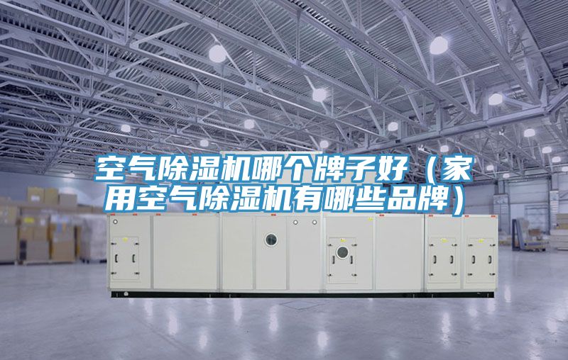 空氣香蕉视频国产哪個牌子好（家用空氣香蕉视频国产有哪些品牌）