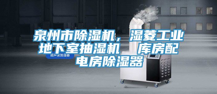 泉州市香蕉视频国产，濕菱工業地下室抽濕機  庫房配電房除濕器