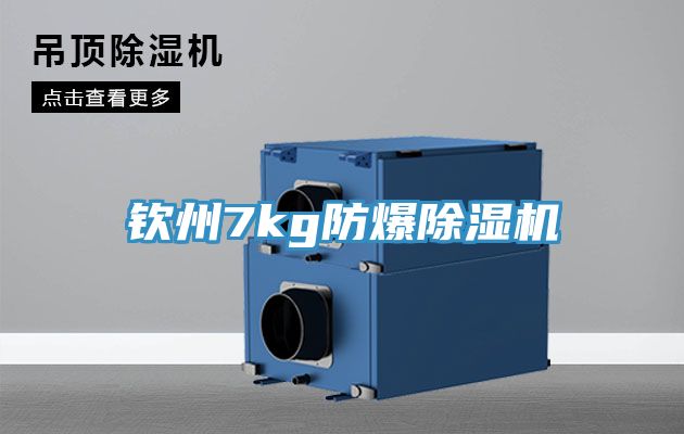 欽州7kg防爆香蕉视频国产