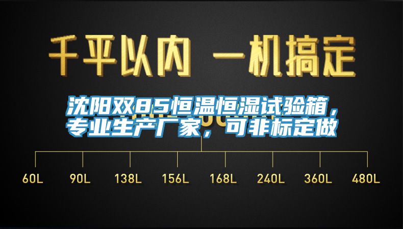 沈陽雙85恒溫恒濕試驗箱，專業生產廠家，可非標定做