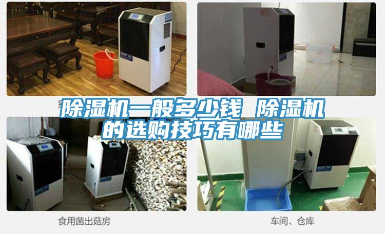 香蕉视频国产一般多少錢 香蕉视频国产的選購技巧有哪些