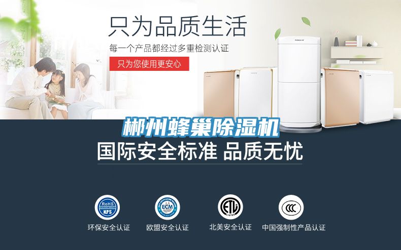郴州蜂巢香蕉视频国产