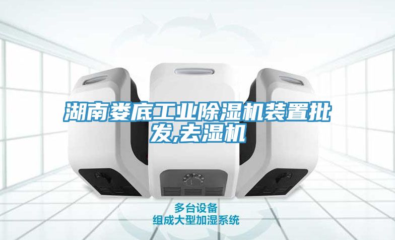 湖南婁底工業香蕉视频国产裝置批發,去濕機