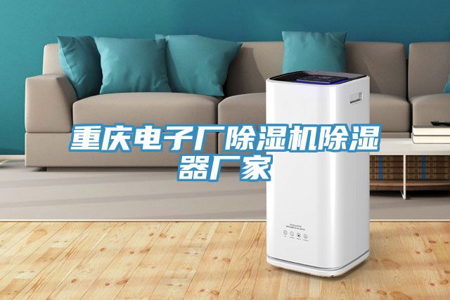 重慶電子廠香蕉视频国产除濕器廠家