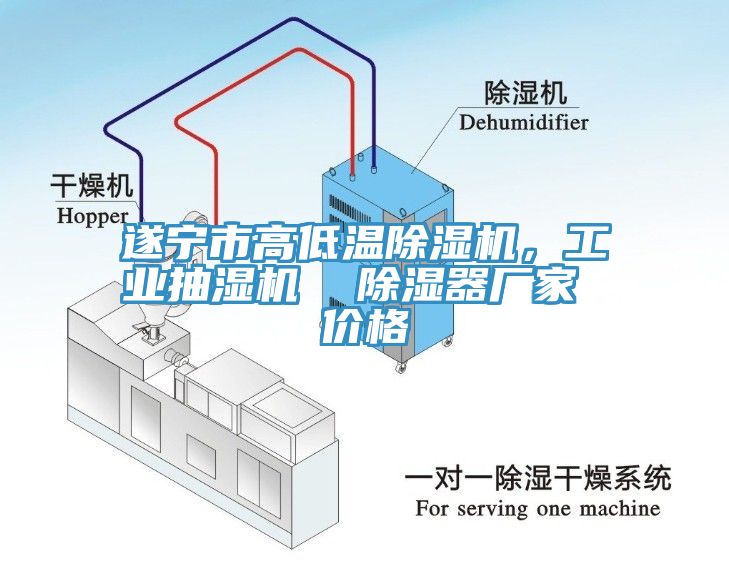 遂寧市高低溫香蕉视频国产，工業抽濕機  除濕器廠家 價格