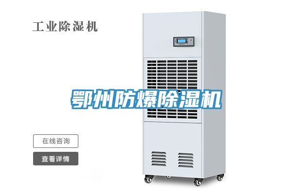 鄂州防爆香蕉视频国产