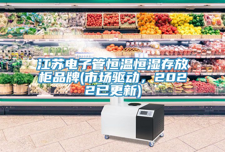 江蘇電子管恒溫恒濕存放櫃品牌(市場驅動，2022已更新)