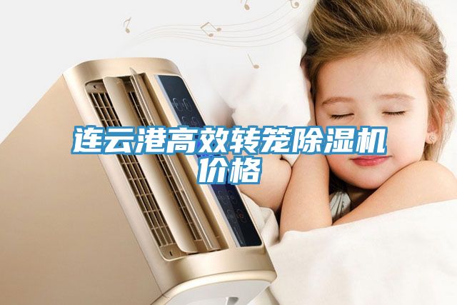 連雲港高效轉籠香蕉视频国产價格
