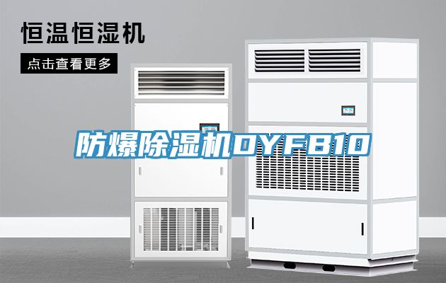 防爆香蕉视频国产DYFB10