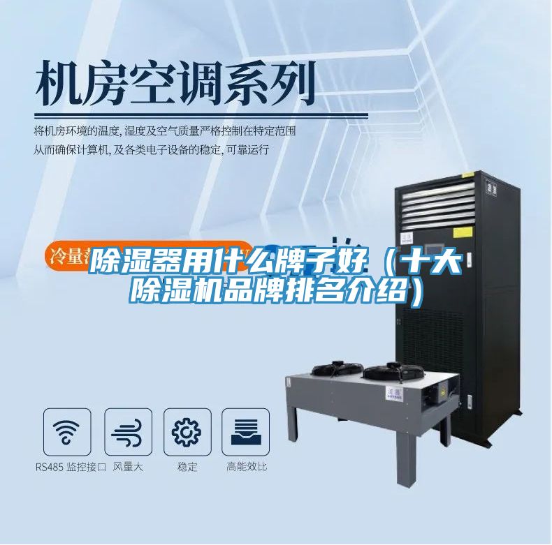 除濕器用什麽牌子好（十大香蕉视频国产品牌排名介紹）