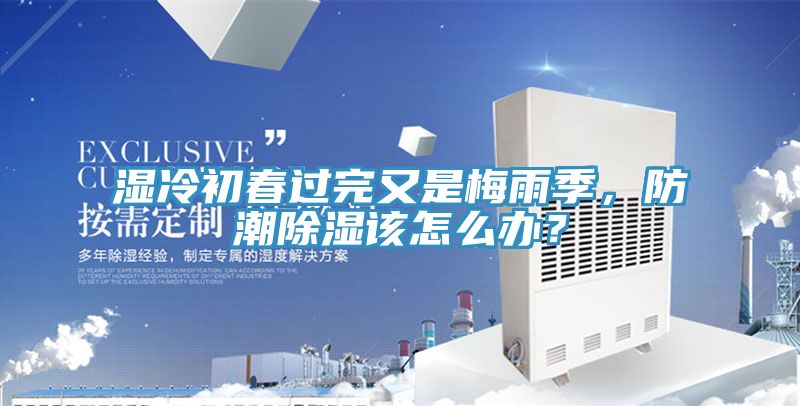濕冷初春過完又是梅雨季，防潮除濕該怎麽辦？