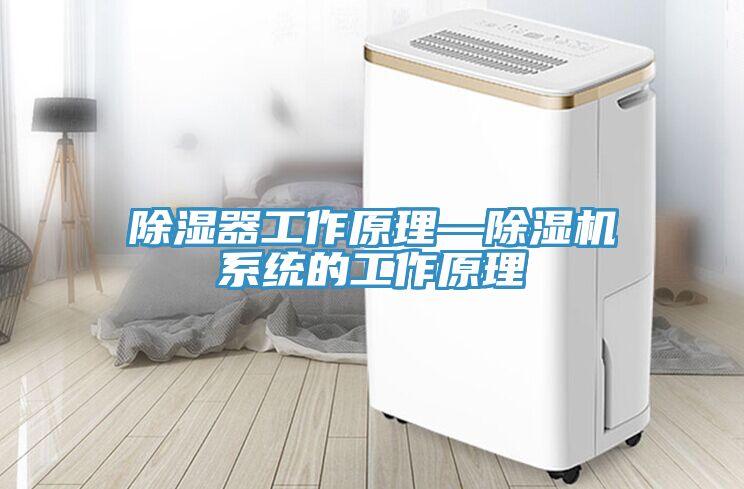 除濕器工作原理—香蕉视频国产係統的工作原理
