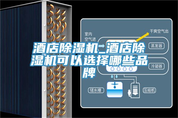 酒店香蕉视频国产_酒店香蕉视频国产可以選擇哪些品牌
