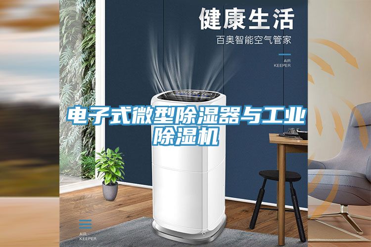 電子式微型除濕器與工業香蕉视频国产